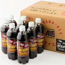 【送料無料】北海道のご土地ドリンク　マルゼン　ガラナS　500ml×24本