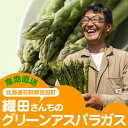 【5月20日より順次発送(お届けまで2?3週間程頂戴致します)予約販売受付中】【産地直送】【露地栽培】北海道石狩郡当別町 織田さんちのグリーンアスパラガス1kg(25?30本前後・Lサイズ以上)