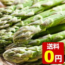 【7月中旬から順次発送】今が旬の北海道産でっかいアスパラ!夕張郡長沼町 押谷さんちのグリーンアスパラガス1kg(20?25本・Lサイズ以上)【産地直送】【期間限定】