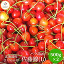 甘熟さくらんぼ「佐藤錦L500g×2個」自宅用 バラ詰め 北...