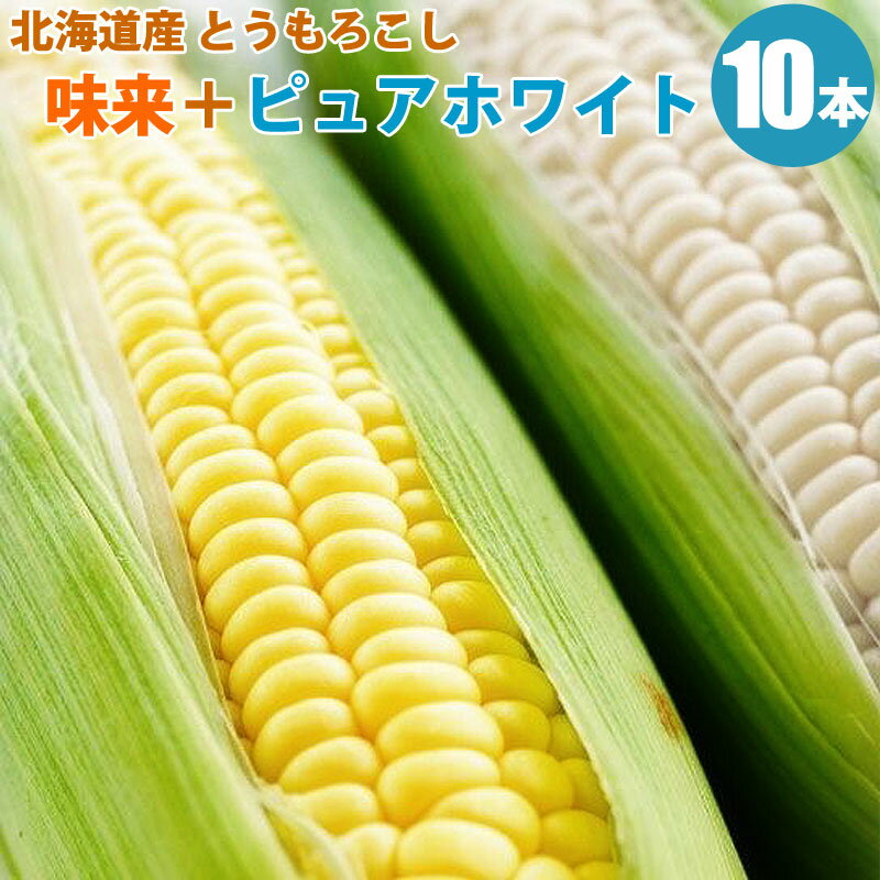 味来（みらい）5本＋ピュアホワイト5本食べ比べセット。とうもろこし北海道産/とうもろこしを産地直送！朝獲りトウモロコシ 送料無料 【8月下旬予約順発送】【指定日不可】【 内祝い 御祝い 御礼 ギフト 】