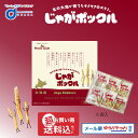 お歳暮 カルビー ポテトファーム じゃがポックル オホーツク塩味 6袋 メール便 1000円ポッキリ 限定 お土産 お菓子北海道 薯条三兄弟 御歳暮 クリスマス