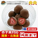 【あす楽】六花亭 ストロベリーチョコ ミルク 100g ギフト ハロウィン お菓子 【北海道お土産探検隊】【店頭受取対応商品】