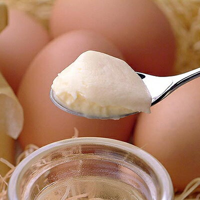 【ファーム・ヌーボー】のプリン 『デュ・ノール』卵たっぷりしっとりゆるりん物産展でも大人気しっとりプリン♪