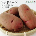 【送料300円割引!*11月25日のご注文に限り画面では300円割引後の送料を表示しています】みなみ農園 レッドムーン(じゃがいも)M・Lサイズ混合 1Kg