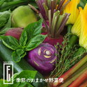 千歳市ファームウメムラ 季節のおまかせ野菜便 2~3人前*ご入金のタイミングによってはご選択頂いたお届け日より遅れる場合があります