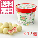 【送料無料】【あす楽】六花亭 ストロベリーチョコ ホワイト 100g×12個セット ギフト ハロウィン お菓子 【北海道お土産探検隊】