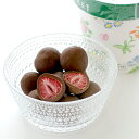六花亭 ストロベリーチョコ ミルク 父の日 ギフト プチギフト プレゼント スイーツ お菓子 セット 父の日ギフト いちご チョコ チョコレート ストロベリー フリーズドライ フルーツチョコレート