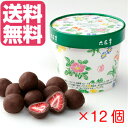 【送料無料】【あす楽】六花亭 ストロベリーチョコ ミルク 100g×12個セット ギフト ハロウィン お菓子 【北海道お土産探検隊】