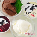 【メーカー直送品】牧家 Bocca アイスクリームセット 1...