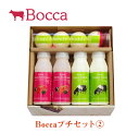 Boccaプチセット2【デザート スイーツ 北海道 お土産 ...
