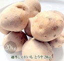 越冬じゃがいも とうや20kg【北海道産 ジャガイモ エコフ...