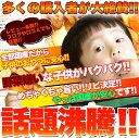 5000円以上購入先着100名まで100...