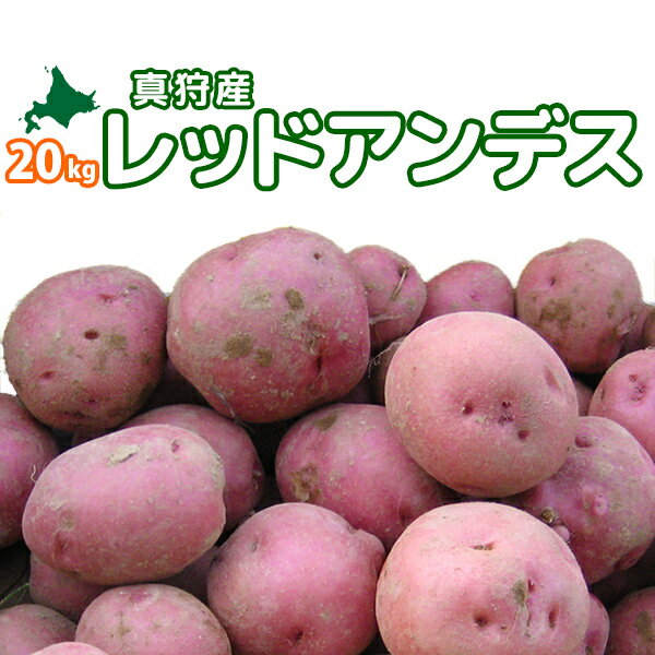 [2017年秋収穫 レッドアンデス 20kg] 北海道真狩産じゃがいも「レッドアンデス」 …...:hokkaidosantyoku:10000048