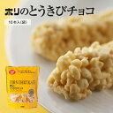 ホリ HORI とうきびチョコ 10本入 ポイント消化 北海道 お取り寄せ お菓子 お土産 ホ