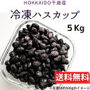 期間限定半額!北海道千歳産 【冷凍ハスカップ】 5Kg 冷凍...