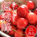 北海道余市産 さくらんぼ【紅秀峰】2L 500g 秀品 手詰...
