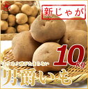 【北海道ニセコ産】新ジャガイモ「男爵」10kg LMサイズ正...