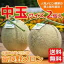 送料無料 山崎メロン園【富良野メロン】赤肉 中玉(1.5〜1.6kg) 2個 化粧箱入り メロン 北海道 赤 肉 メロン 富良野 メロン ふらの メロン 2玉 秀品 富良野 メロン 産地直送 北海道 メロン 北海道産 贈答 メロン 送料無料 メロン 敬老の日 ギフト