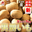 【富良野産】新ジャガイモ「男爵」5kgSサイズ正規品 送料無料【九州・沖縄を除く】北海道 富良野産 じゃがいも 送料無料 5kg じゃがいも 北海道 新じゃが 新ジャガ 男爵芋 男爵いも 男爵イモ 芋 贈答品 御歳暮 ギフト業務用