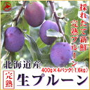 北海道 余市町 産地直送【生プルーン】400g×4パック(1.6kg)送料無料【九州・沖縄を除く】プルーン 送料無料 北海道産 プルーン 生 プラム ジャム ヨーグルト お土産 贈答品 ギフト