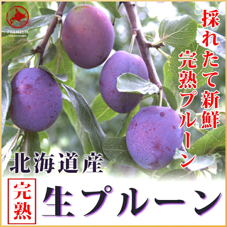 (送料無料)北海道余市町産地直送【生プルーン】400g×4パック　北海道産/プルーン/プラ…...:hokkaidozeppin:10000200