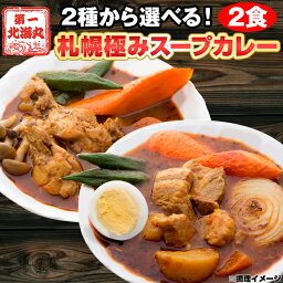 <strong>スープカレー</strong> 送料無料 2種から選べる 札幌極み<strong>スープカレー</strong> 2食 豚角煮 チキン 北海道 レトルト