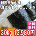 29年産 新潟産【こしいぶき 30kg 白米 送料無料】10kgの3袋で発送(精米後は27〜28kg) 減農栽培(ほぼ 無農薬) 白米 一等米 【白米 取り寄せ】