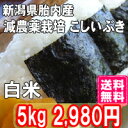 ランクアップキャンペーン こしいぶきをコシヒカリに