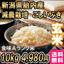 1000円お得!! 新潟産こしいぶき 10kg 玄米→新潟産 コシヒカリ(¥5,980)今だけワンランクアップキャンペーン 同じ値段でコシヒカリに!! 送料無料 食味Aランク (ほぼ 無農薬) 一等級 新米