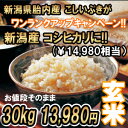 1000円お得!! 新潟産こしいぶき 30kg 玄米→新潟産 コシヒカリ(¥14,980)今だけワンランクアップキャンペーン 同じ値段でコシヒカリに!! 送料無料 食味Aランク (ほぼ 無農薬) 一等級 新米