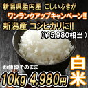 1000円お得!! 新潟産こしいぶき 10kg 白米 → 新潟産 コシヒカリ(¥5,980)今だけワンランクアップキャンペーン 同じ値段でコシヒカリに!! 送料無料 食味Aランク (ほぼ 無農薬) 一等級 新米