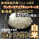 1000円お得!! 新潟産 【こしいぶき 30kg 白米 送料無料】10kgの3袋で発送(精米後は27〜28kg) 28年産 減農栽培(ほぼ 無農薬) 白米 一等米 【白米 取り寄せ】