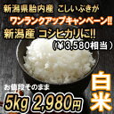 600円お得!! 新潟産こしいぶき 5kg 白米 → 新潟産 コシヒカリ(¥3,580)今だけワンランクアップキャンペーン 同じ値段でコシヒカリに!! 送料無料 食味Aランク (ほぼ 無農薬) 一等級 新米
