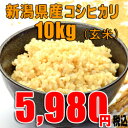 28年産 新潟産 コシヒカリ 【玄米 10kg】送料無料 新米 ほぼ 無農薬栽培 【産地直送】新潟玄米