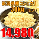 28年産 新潟 コシヒカリ 【玄米 30kg】 10kgの袋3つで発送 送料無料 新米 魚沼産 以上の美味しさ【産地直送】