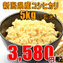 新米 28年産 新潟コシヒカリ 5kg 玄米 送料無料 【産地直送】 新潟玄米 ほぼ 無農薬 こしひかり