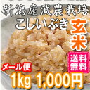 28年 新米 新潟県 胎内産 一...