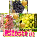 高級ぶどう_3種類詰め合わせセット【敬老の日 プレゼント】【シナノスマイル・ロザリオビアンコ・タカスミブドウの3種類+1の4〜5房セット 2kg】 新潟県胎内産ブドウ2kg 朝採り【送料込み】【熨斗紙_名入れ無料_ギフト】