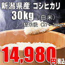 新米 28年産 新潟産 コシヒカリ 【白米 30kg】(精米後は27〜28kg)10kg×3袋での発送 送料無料 一等米 【産地直送】白米 お取り寄せ