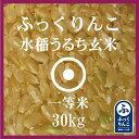 ふっくりんこ 玄米 30Kg 送料無料 産地サミット公認品 1等米 28年産 北海道米 食味ランキング 特A受賞