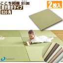 【置き畳】ここち和座(彩園)【置き敷きタイプ】2枚入り 【大建工業】☆送料無料☆〈82×82cm〉フローリング畳/琉球畳風/ユニット畳/縁無し畳/インテリア畳/ダイケン畳【カビ防止 ダニ防止 防汚加工 滑り防止】