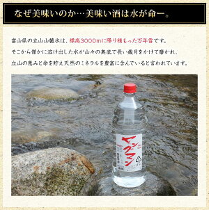 【激安ではありませんがお買い得】富山の甲類焼酎25%ヤングマン2.7L焼酎甲類