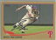 【送料無料】スポーツ メモリアル カード フィラデルフィアベンリビアサインphiladelphia phillies ben revere autographed 2013 topps