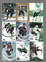 【送料無料】スポーツ メモリアル カード mike modano 9different cardslot 3mike modano 9 different cards, lot 3