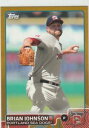 【送料無料】スポーツ メモリアル カード ジョンソンゴールドデビューbrain johnson gold rc 50 2015 topps pro debut portalnd sea dogs