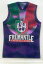 【送料無料】スポーツ メモリアル カード クラブロゴフリーマントル2010 afl select prestige h064 club logofremantle