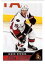 【送料無料】スポーツ メモリアル カード paniniスコアホッケー20132014 nhl347ジェーソンspezza
