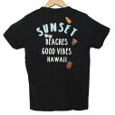 SALE ハワイアン雑貨 ハワイアン 雑貨 【フララニ】Hula Lani メンズ スラブ天竺 ワッペン 半袖 Tシャツ (ブラック) 171-HU1733【メール便対応可】 ハワイアン雑貨 ハワイアン 雑貨 ハワイ お土産 ハワイアン サーフ
