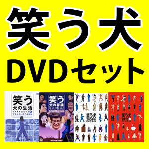 笑う犬の冒険 ＆ 笑う犬の生活 ＆ 2008BOX ＆ 2010BOX DVDセット【送料無料】